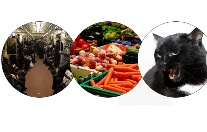 Kievdagi Gidroparkda onlayn porno